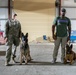 Air Force &amp; Navy MWDs Work Together