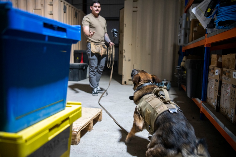 Air Force &amp; Navy MWDs Work Together