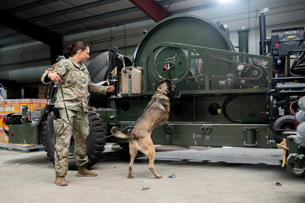 Air Force &amp; Navy MWDs Work Together