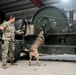 Air Force &amp; Navy MWDs Work Together