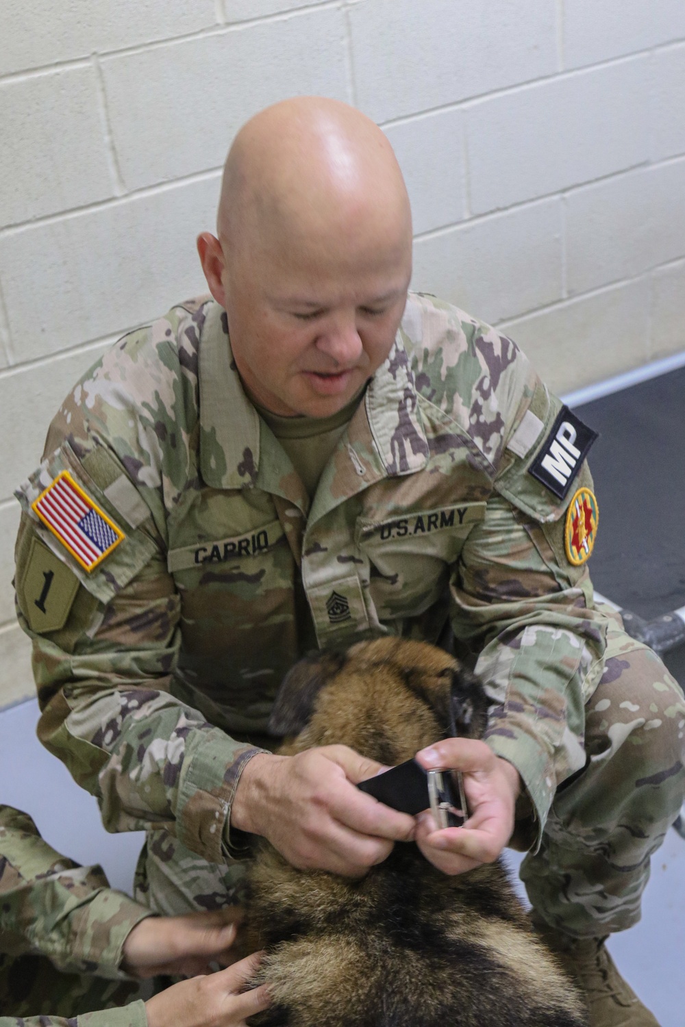 Adopting the country’s MWD heroes