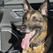 Adopting the country’s MWD heroes