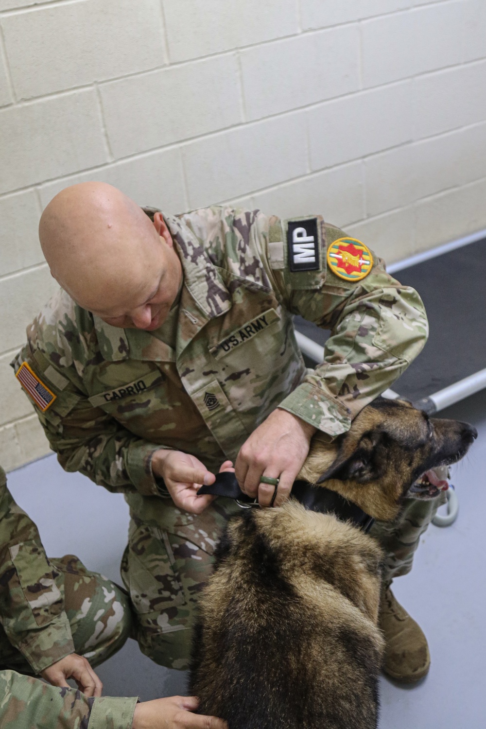 Adopting the country’s MWD heroes