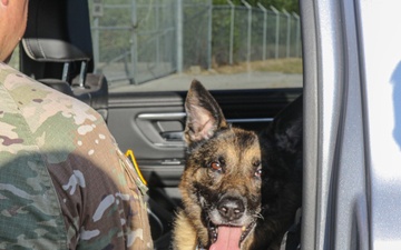 Adopting the country’s MWD heroes