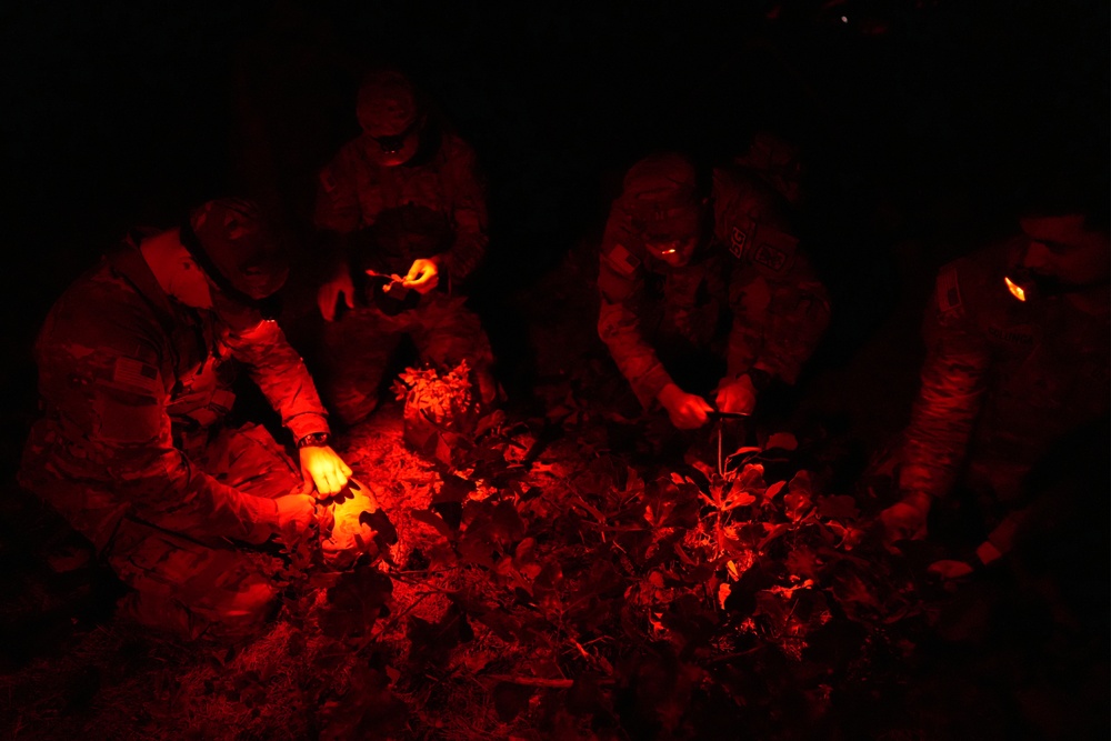 Army Reserve Best Squad Competition 2024 - Night Mission