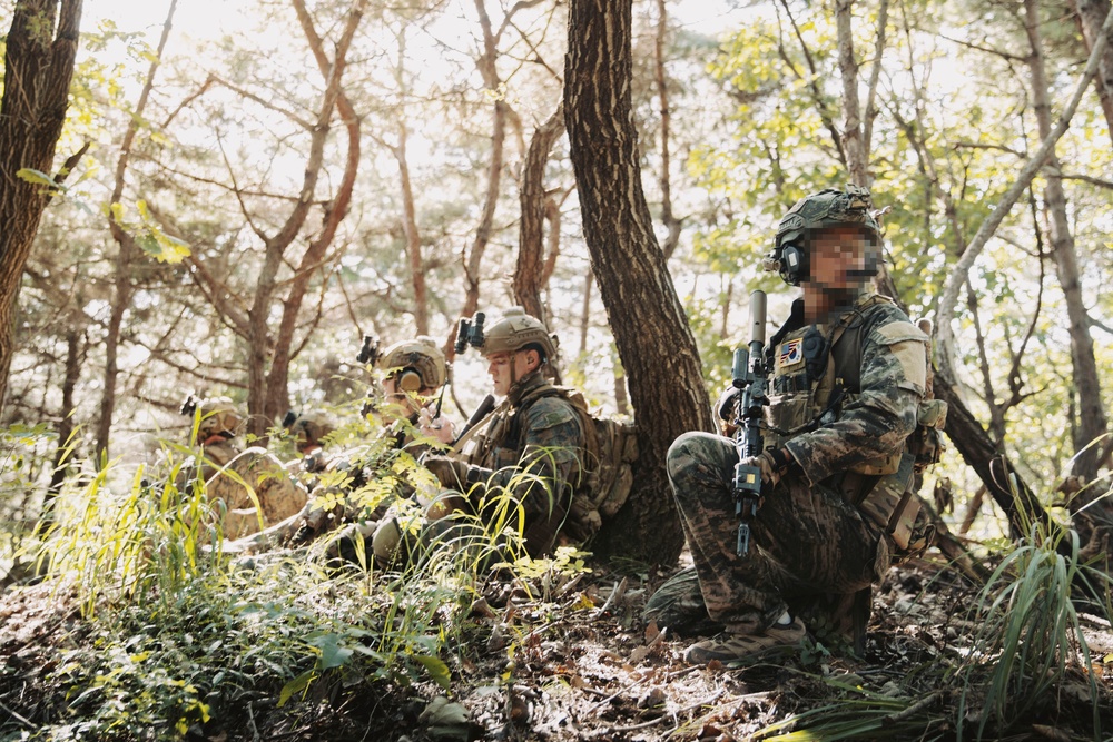 SY 24 | ROK, US Recon, UK Commandos Conduct Training in South Korea