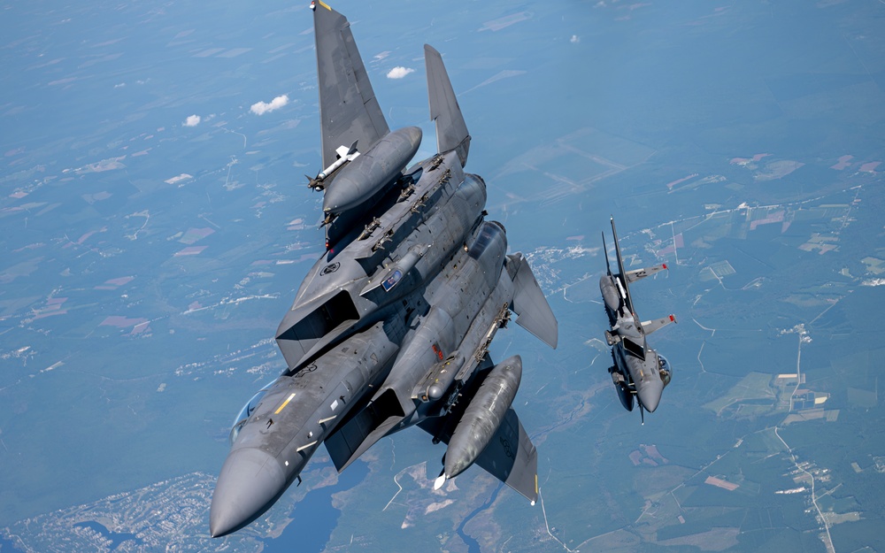 An Eagle's Best Friend