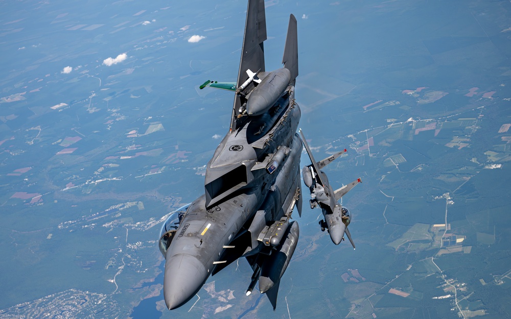 An Eagle's Best Friend