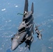 An Eagle's Best Friend