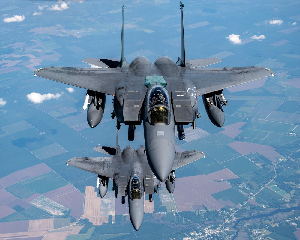 An Eagle's Best Friend
