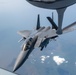 An Eagle's Best Friend
