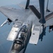 An Eagle's Best Friend