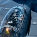 An Eagle's Best Friend