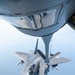 An Eagle's Best Friend