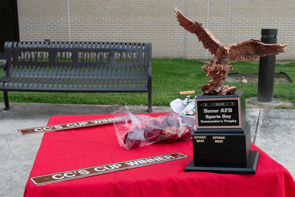 Team Dover celebrates 2024 Wing Sports Day