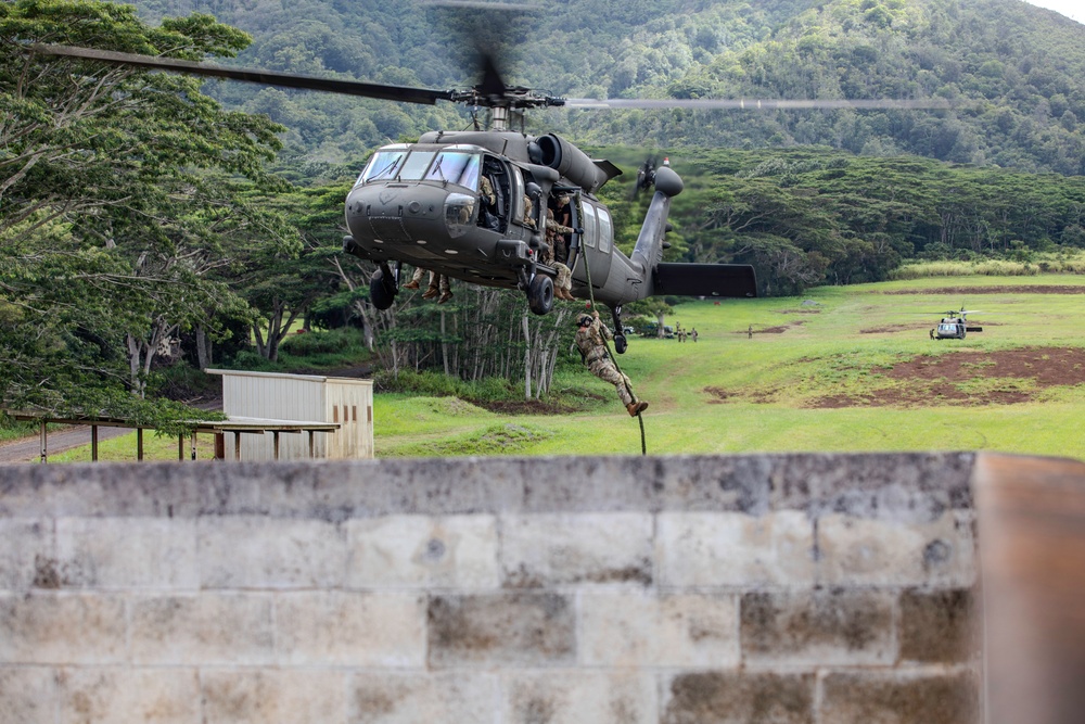 25th Combat Aviation Brigade Assists In Fast Rope Insertion And Extraction System Training