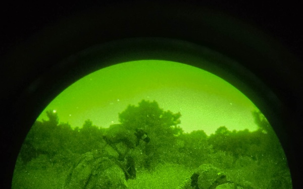 Army Reserve Best Squad Competition 2024 - Downed Pilot Night Operation