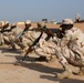 US, Mauritanian Armies train together