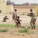 US, Mauritanian Armies train together