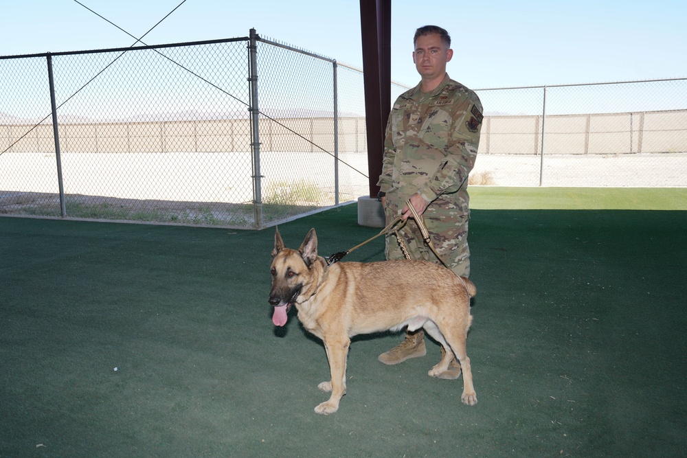 Military Working Dog Arthur retires after five years of service