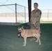 Military Working Dog Arthur retires after five years of service