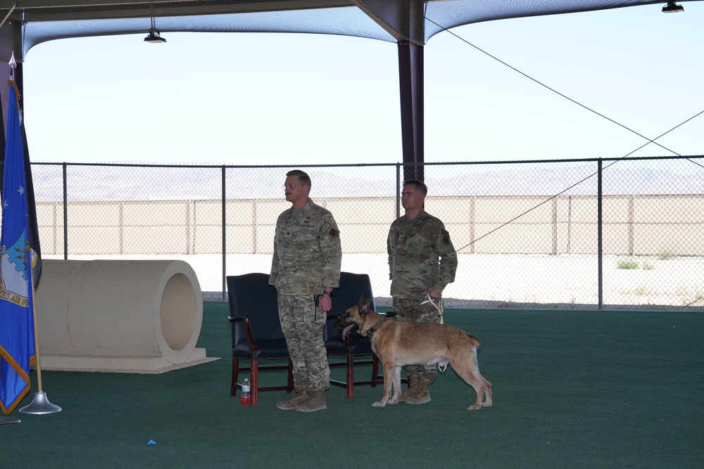 Military Working Dog Arthur retires after five years of service