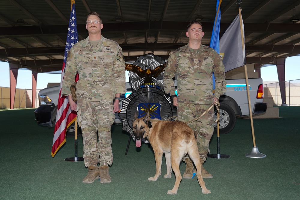 Military Working Dog Arthur retires after five years of service