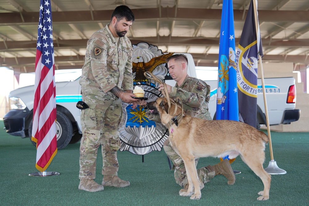 Military Working Dog Arthur retires after five years of service