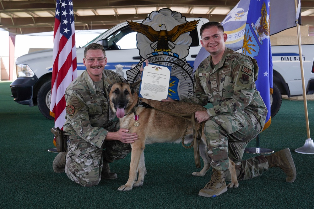 Military Working Dog Arthur retires after five years of service