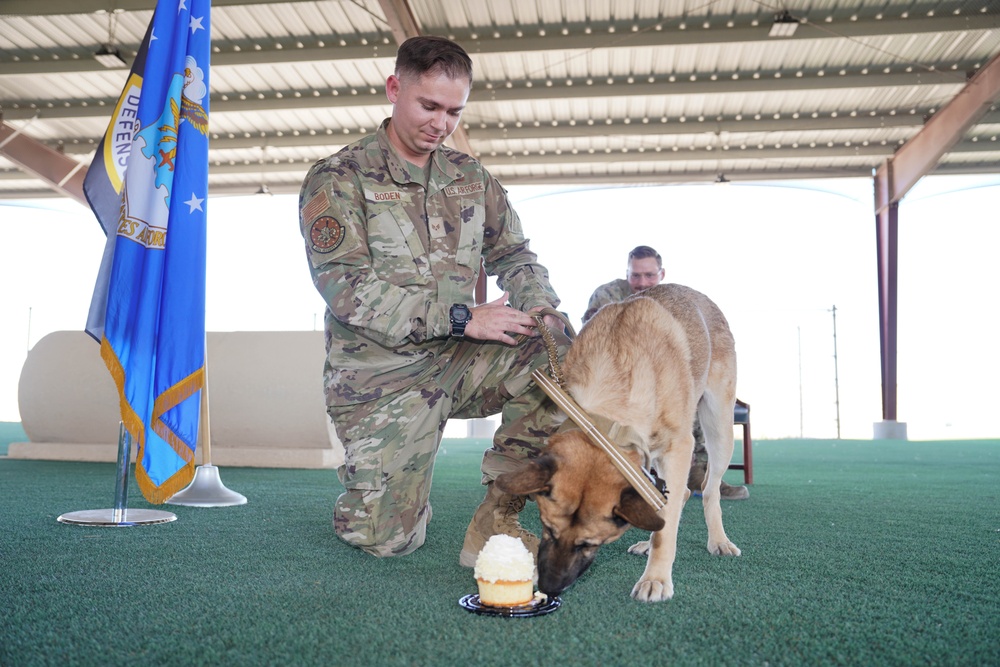 Military Working Dog Arthur retires after five years of service