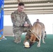 Military Working Dog Arthur retires after five years of service