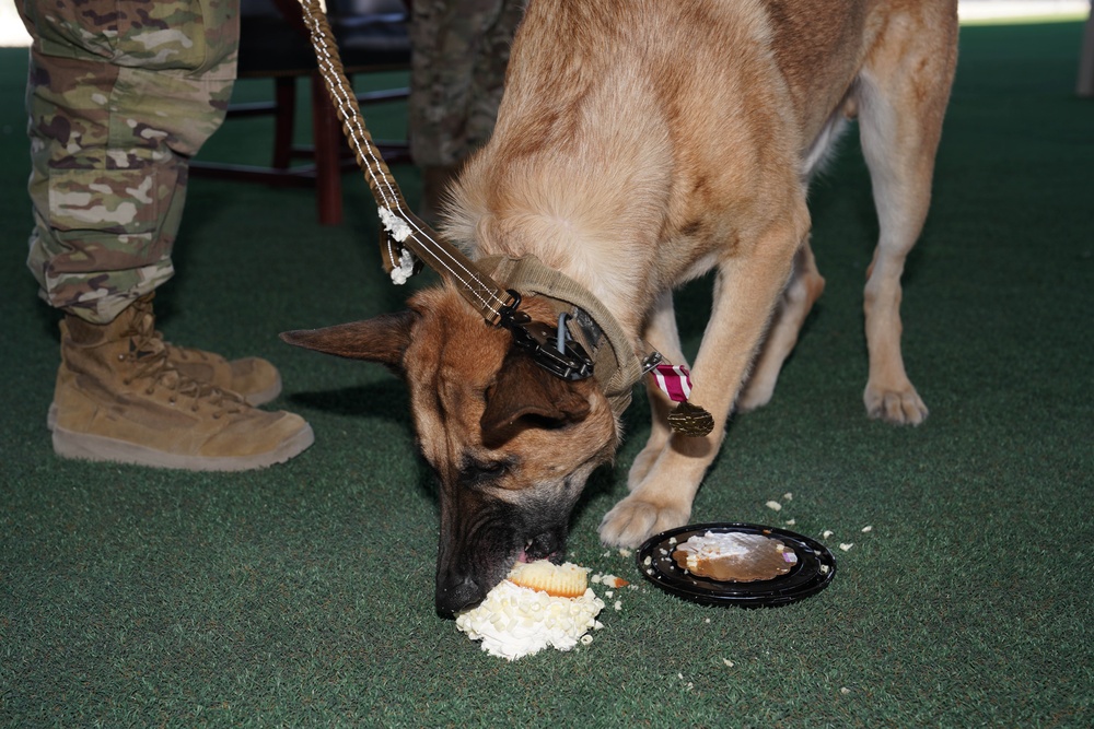 Military Working Dog Arthur retires after five years of service