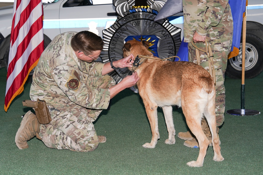 Military Working Dog Arthur retires after five years of service