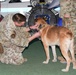 Military Working Dog Arthur retires after five years of service