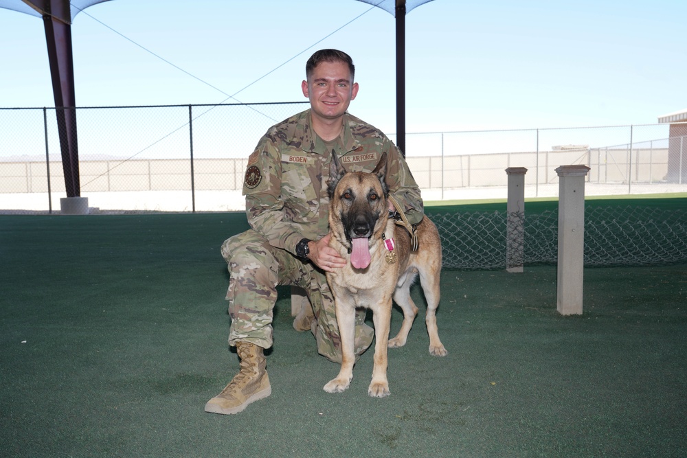 Military Working Dog Arthur retires after five years of service