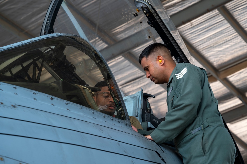 IAF and USAF Airmen share capabilities at TS24