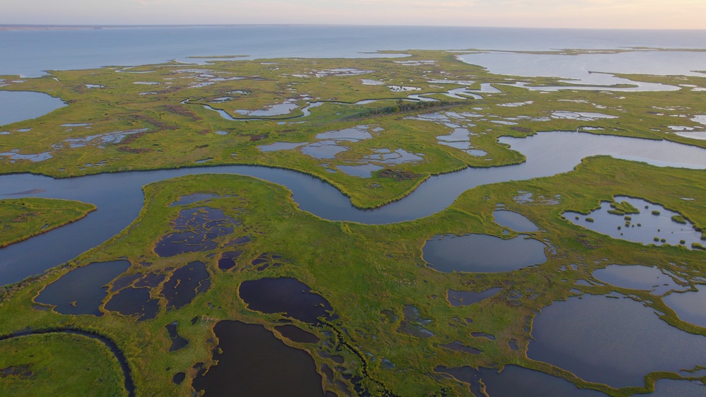 Saxis Wetlands