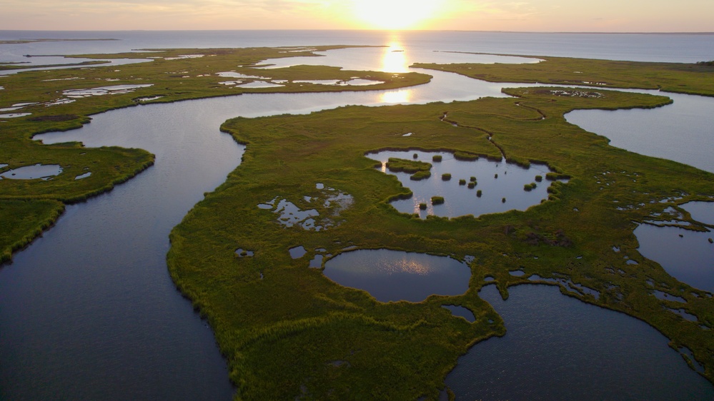 Saxis Wetlands at Sunset