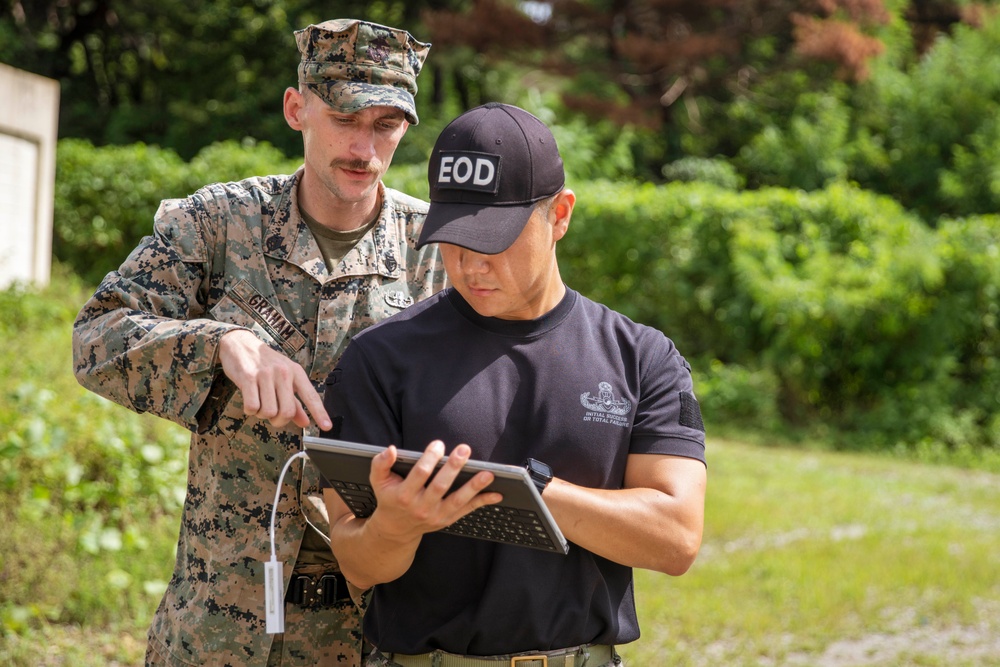 SY 24 | ROK Marines, 15th MEU Come Together for IED Training