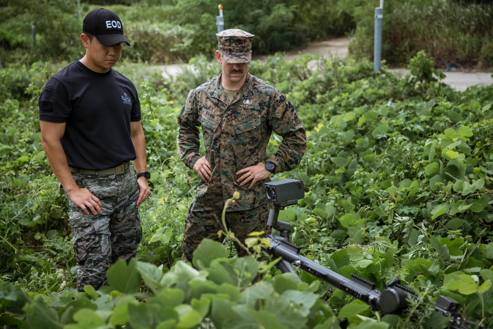 SY 24 | ROK Marines, 15th MEU Come Together for IED Training