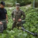 SY 24 | ROK Marines, 15th MEU Come Together for IED Training