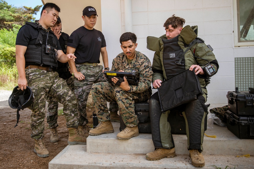 SY 24 | ROK Marines, 15th MEU Come Together for IED Training