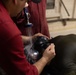 24th MEU (SOC) CBRN Decontamination Exercise Aboard USS New York (LPD 21)