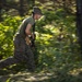 SY 24 | ROKMC and USMC Conduct Patrol Training