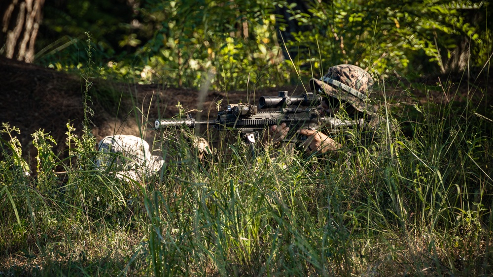 SY 24 | ROKMC and USMC Conduct Patrol Training