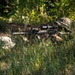 SY 24 | ROKMC and USMC Conduct Patrol Training