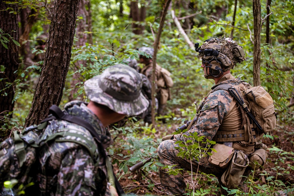 SY 24 | ROK, US Marines Conduct Combined Patrols at Josa-ri