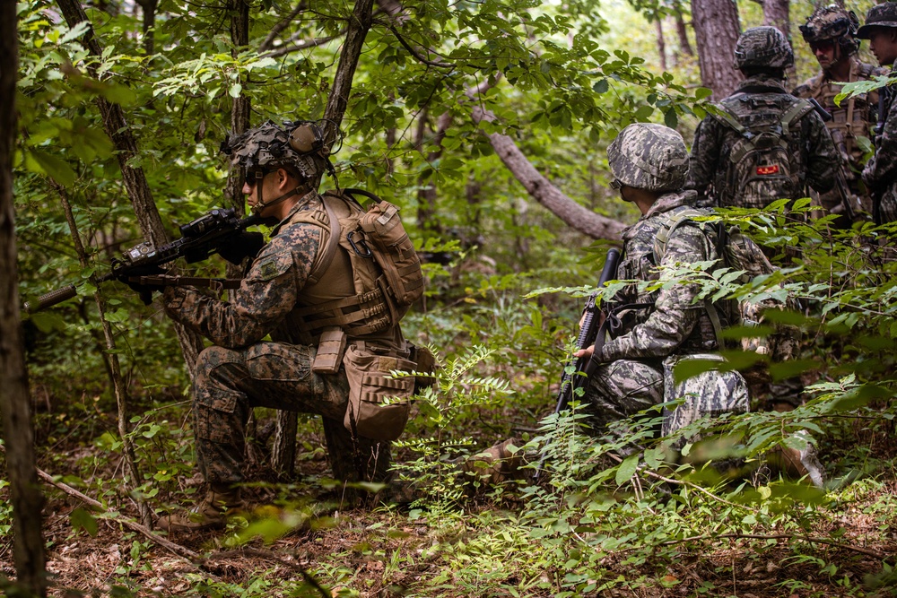 SY 24 | ROK, US Marines Conduct Combined Patrols at Josa-ri