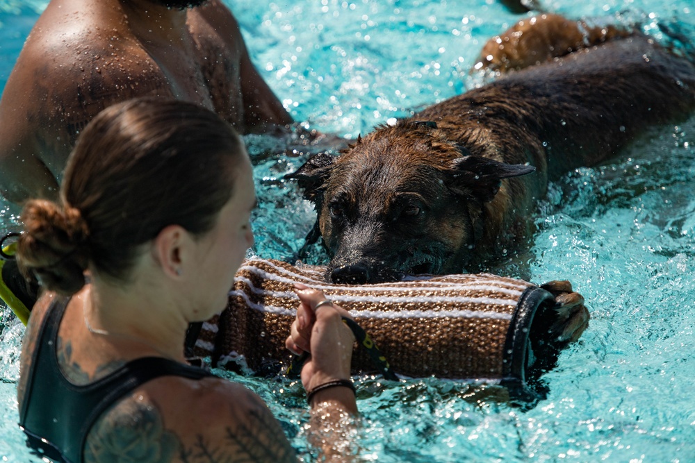 MWD Water Training