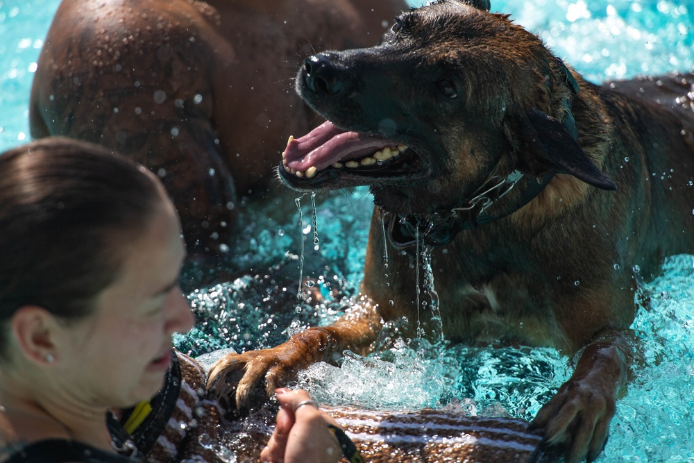 MWD Water Training